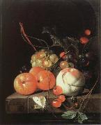 Jan Davidz de Heem still life of fruit Spain oil painting artist